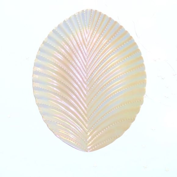 🐚 Iridescent Trinket Dish 🌈 - Picture 1 of 4